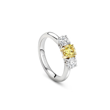 Trilogy Round Brilliant Yellow and White Diamond Platinum Ring