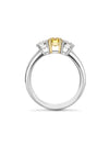 Trilogy Round Brilliant Yellow and White Diamond Platinum Ring