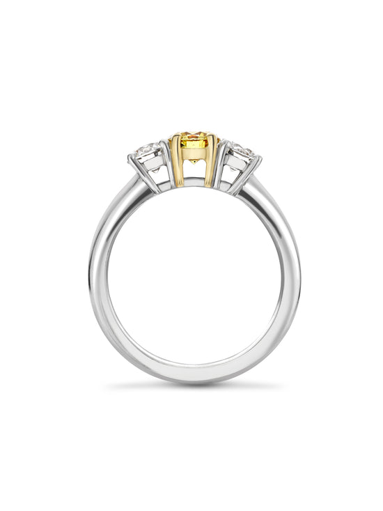 Trilogy Round Brilliant Yellow and White Diamond Platinum Ring