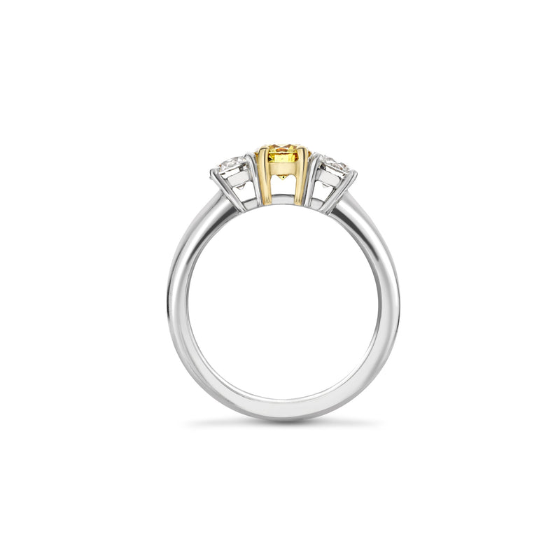 Trilogy Round Brilliant Yellow and White Diamond Platinum Ring