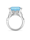 A Family Journey Geneva Aquamarine Platinum Ring