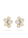 _Label_2.50_Carat