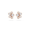 Raindance Classic Cluster Rose Gold Stud Earrings