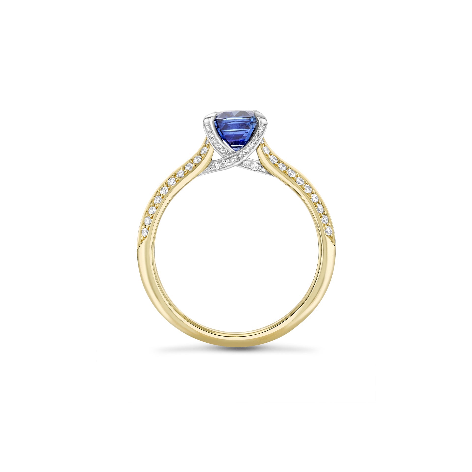 Petal Ashoka Sapphire Yellow Gold Engagement Ring