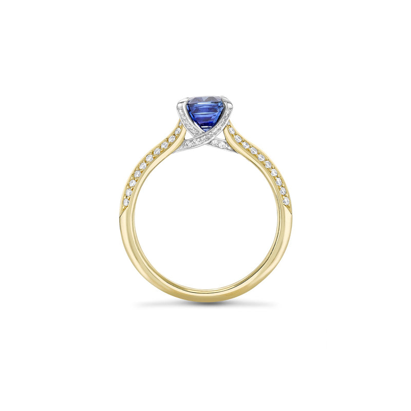 Petal Ashoka Sapphire Yellow Gold Engagement Ring