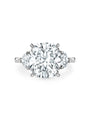 Peace of Mined Petal Diamond Platinum Ring