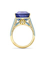 A Family Journey Paris Sapphire Yellow Gold Ring