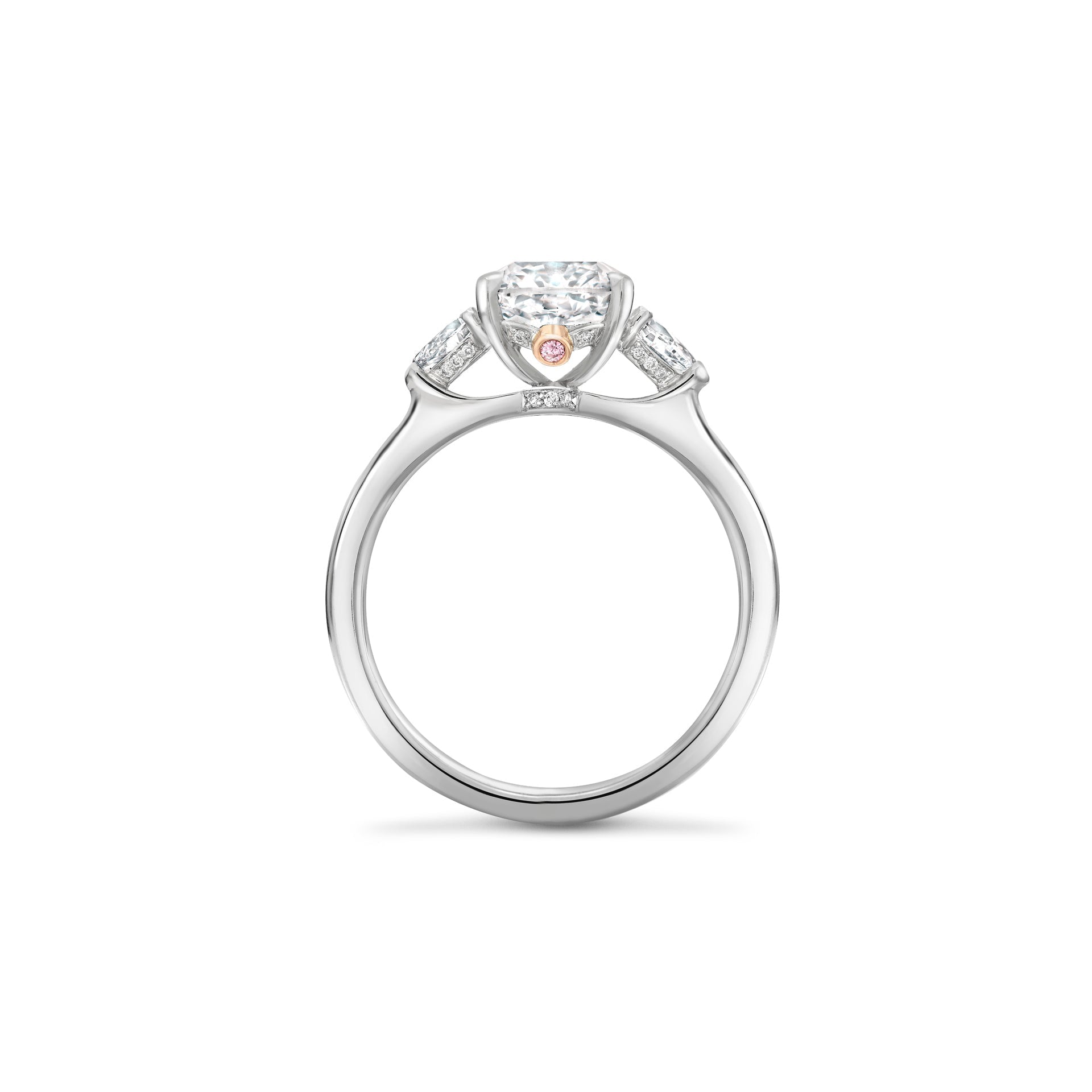 Peace of Mined Petal Diamond Platinum Ring