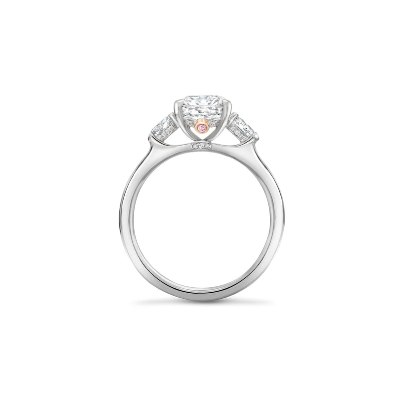 Peace of Mined Petal Diamond Platinum Ring