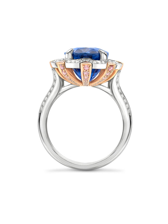 Fifth Avenue Oval Sapphire Platinum Ring