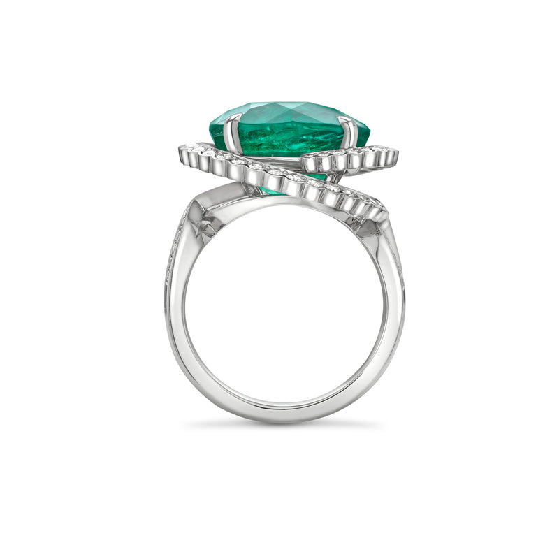 A Family Journey Monaco Emerald Platinum Ring