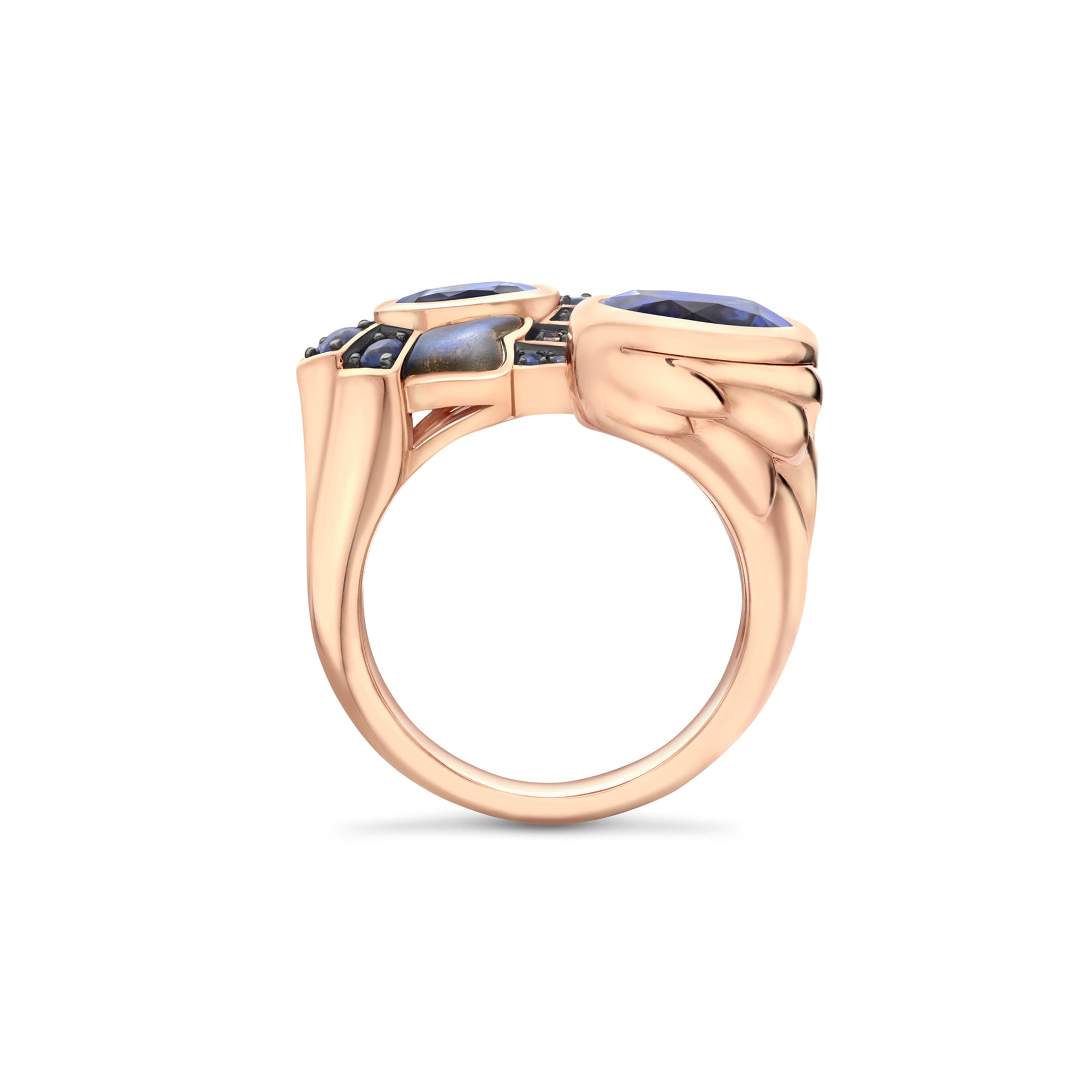 The Palace Collection Raven's Watch Gemini Sapphire Ring