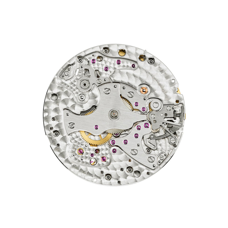 Patek Philippe Complications Watch Ref. 5224R-001