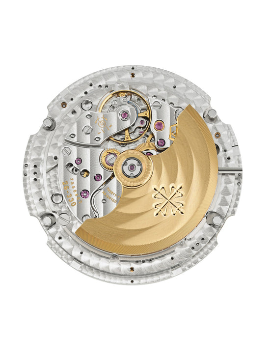 Patek Philippe Complications Self-Winding Ref. 5396R-011