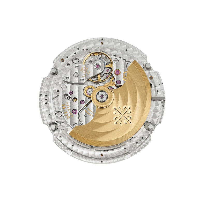Patek Philippe Complications Self-Winding Ref. 5396R-011
