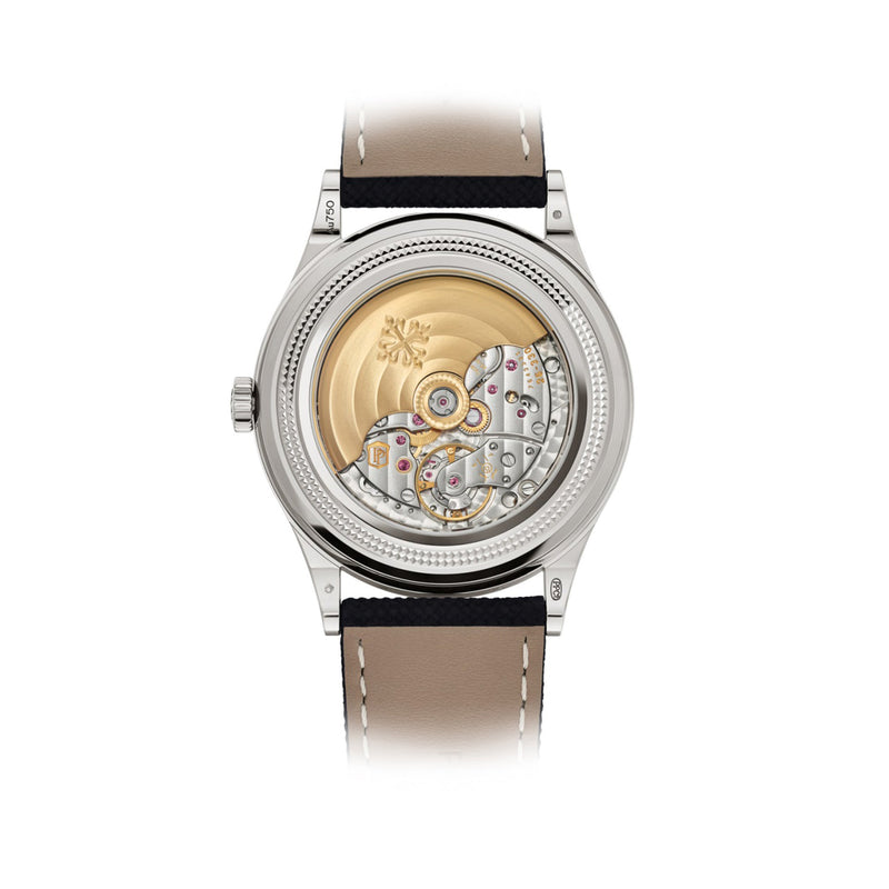 Patek Philippe Grand Complications Watch Ref. 6159G-001