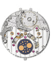 Patek Philippe Twenty~4 Watch Ref. 7340/1R-001