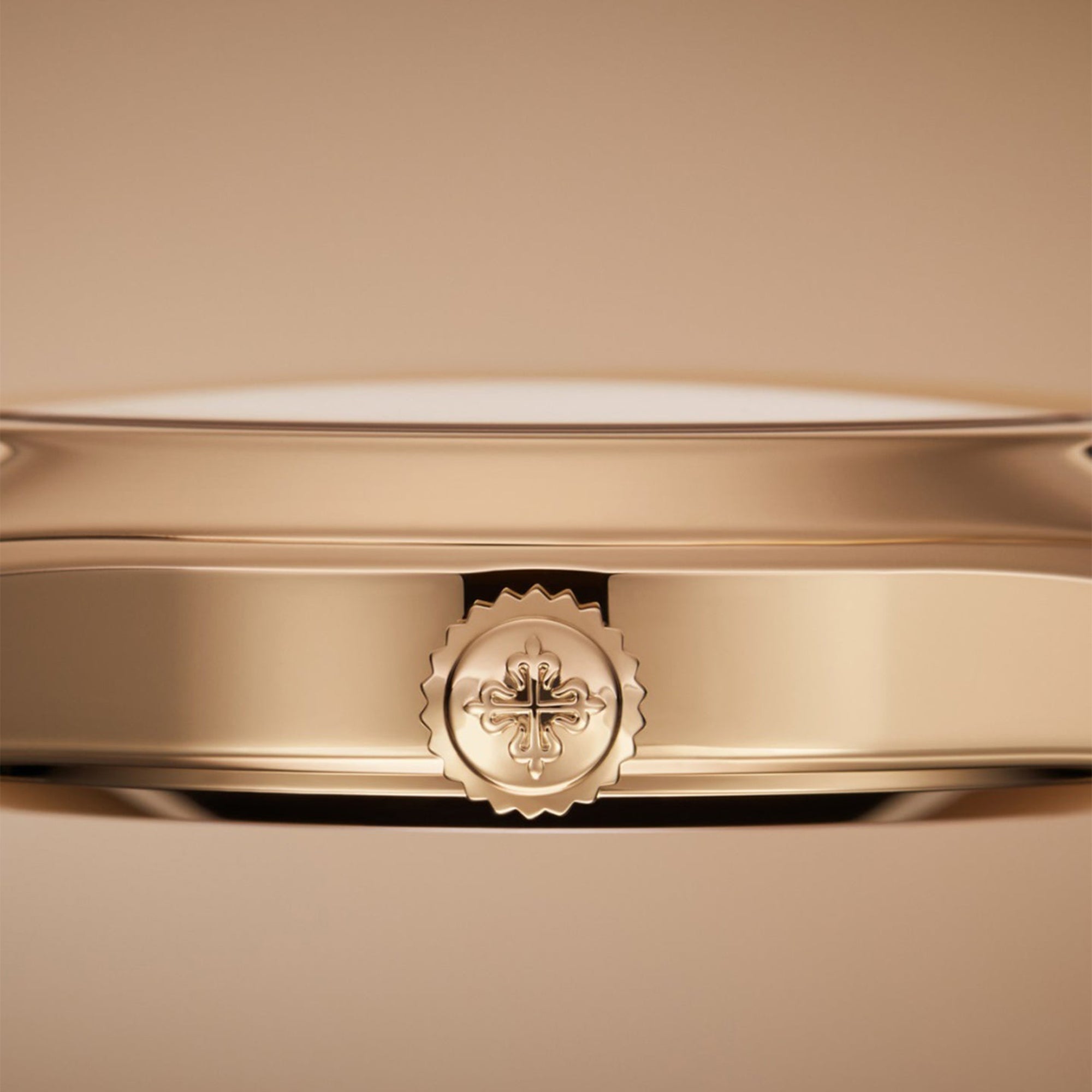 Patek Philippe Twenty~4 Watch Ref. 7340/1R-010