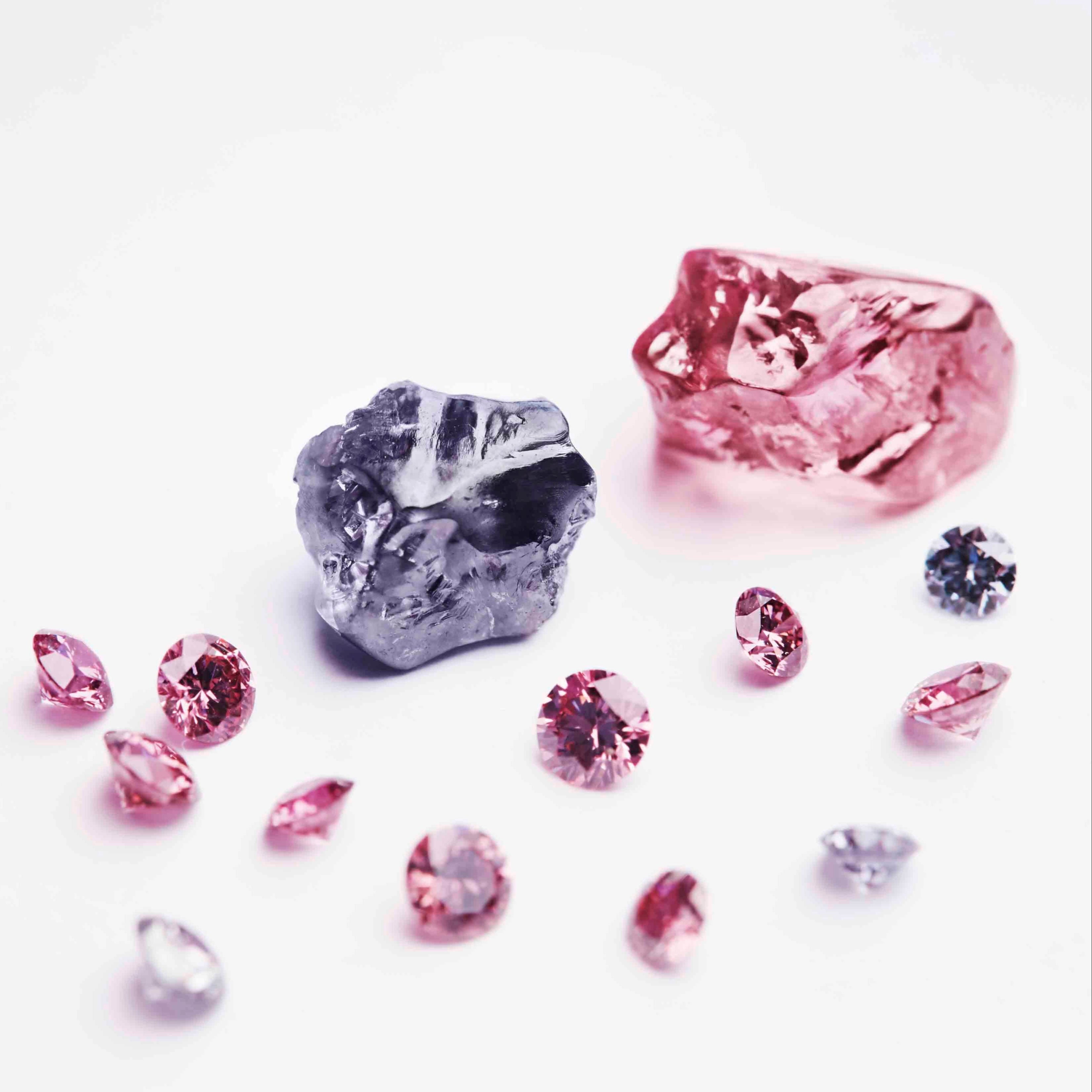rough pink diamonds and polished pink diamonds on a white background