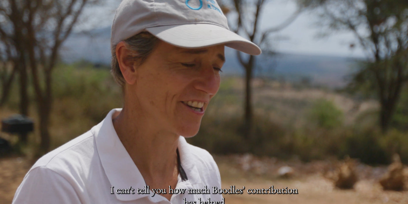 video poster