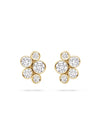 _Label_0.70_Carat