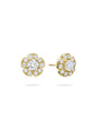 Walled Garden Diamond Stud Yellow Gold Earrings