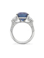 Classic Sapphire Ashoka Platinum Ring